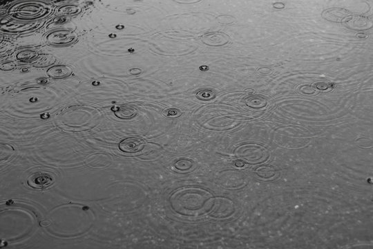 rain puddle autumn water  surface raindrop
