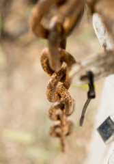 Rusty Chain and metal lock