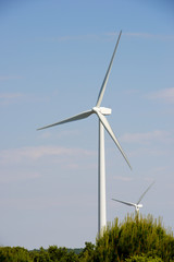 Fototapeta premium Wind energy concept