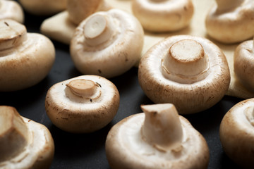 Mushrooms close up