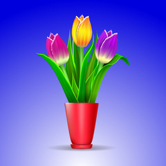 bouquet of tulips in a red vase isolated on blue