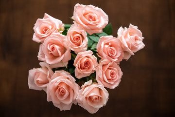 rosen2