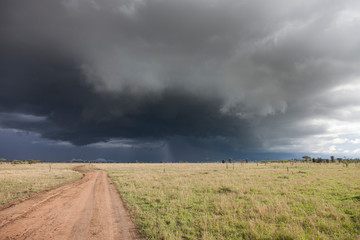 Rain in Serengeti National Park, Tanzania