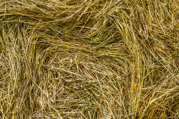 hay pressed into a roll, texture