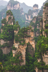 Fototapeta na wymiar The Zhangjiajie National Forest Park