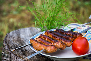fry sausages on fire. Picnic in nature. Sausages on skewers. Meat products. Eco-picnic with reusable dishes. Snack on nature. Grilled sausages. BBQ