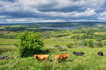 Fototapeta na wymiar Ireland,view on Cavan Burren Park,Unesco geopark,Irish
