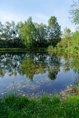 Fototapeta na wymiar Episy Fishing pond in the french Gatinais regional nature park