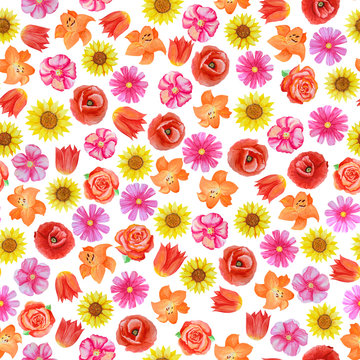 Seamless floral pattern on white background. Different bright red and pink flowers. © Mariia