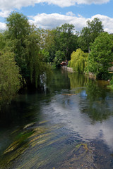 Fototapeta premium Loing river in the french Gâtinais regional nature park