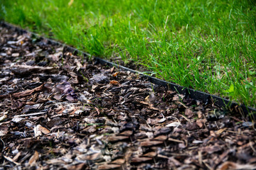 lawn edge