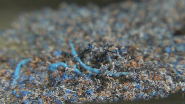 Destroyed plastic particles fall to reservoir. Plastic as products floats in water and gradually disintegrates into fragments. Concept of pollution of world ocean by plastic