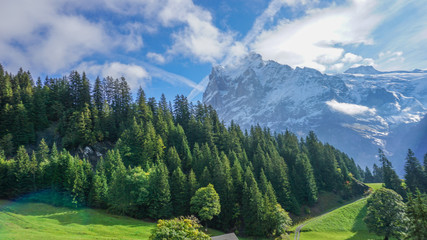 The Mountainside in Grindelwald, Switzerland.