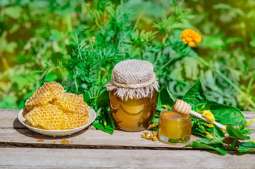 Organic floral honey against blurred background with flowers