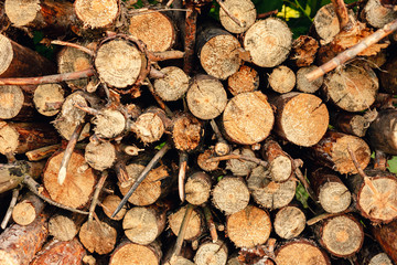 Pile of chopped wood material. Wooden background.