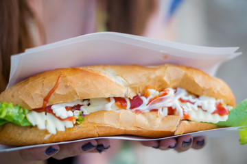 French bread sandwich in Laos' style