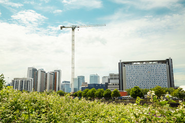 High-rise multi apartments building structures estate