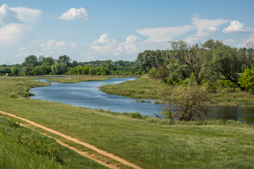 Obraz premium Bzura river near Kamion, Masovia, Poland