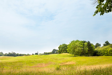 Expanded view of green grass meadow and trees
