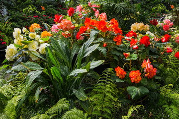 Wonderful greenhouse