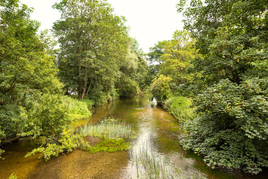 Green Landscape River View