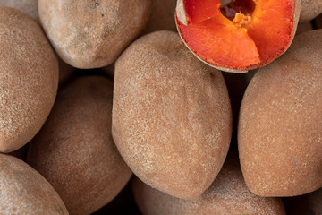 Mamey, fruta tropical de México