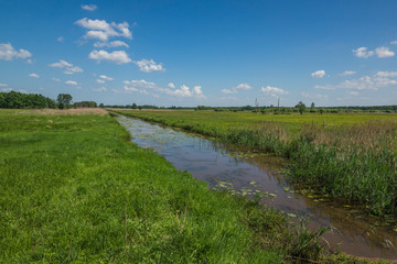 Water channel in Kampinoski National Park, Masovia, Poland