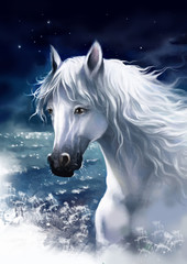 Naklejka na ściany i meble Portrait of a white horse against the night sky. Digital painting.