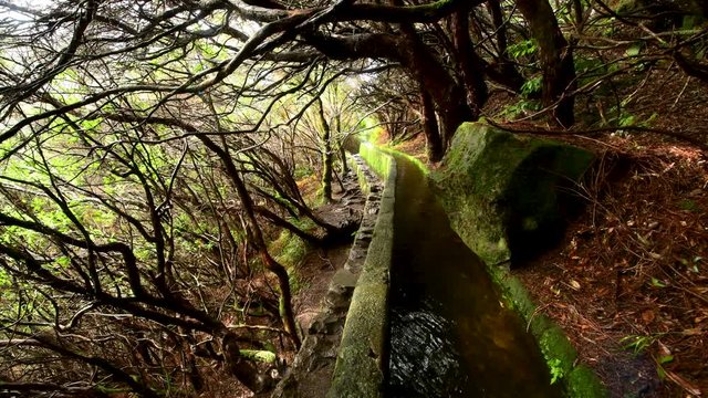 Levada walks on Madeira island