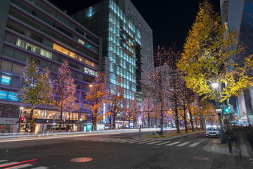 Festival of the Lights in Osaka. The winter illumination events, Midosuji Illumination and Hikari Renaissance. popular tourist attraction, travel destination for vacation