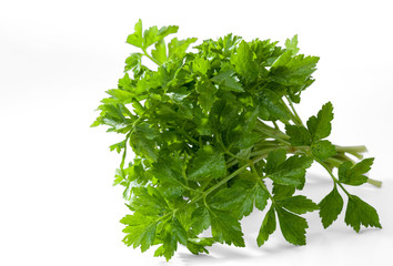 Fresh parsley is isolated on a white background. Selective focus.