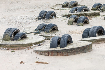 Old tire made as a beach erosion device.
