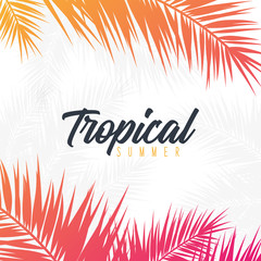 Summer Tropical palm leaves. Exotic palms tree. Floral Background. © leo_d
