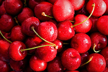 Fresh organic red cherries