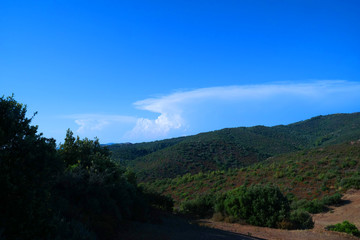 Paesaggio mediterraneo