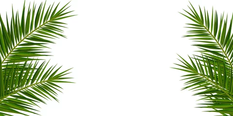 Poster Summer Tropical palm leaves. Exotic palms tree. Floral Background. © leo_d