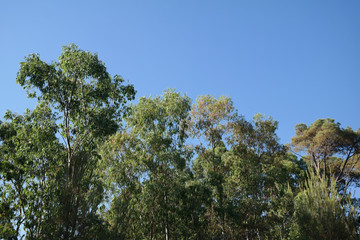 Obraz premium Paesaggio mediterraneo