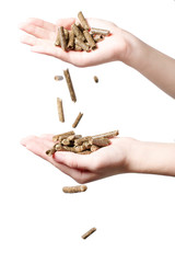 Biomass - pellet © chrzanowskiart