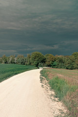 Beautiful rural landscape in spring, road crosses the fields