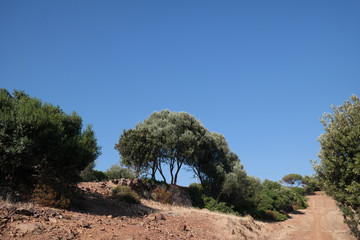 Paesaggio mediterraneo