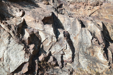 Roccia