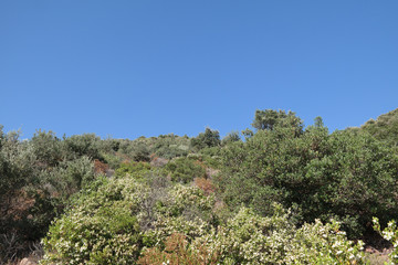 Paesaggio mediterraneo