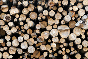 Wooden cut logs background. Pile of logs. Stack of firewood close up. Sawed tree trunks of...