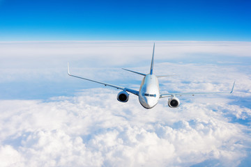Fototapeta na wymiar Passenger airplane performing flight flies in the sky.
