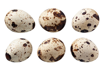 Quail eggs isolated on white. Collection