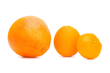 Citrus fruits and cocktails