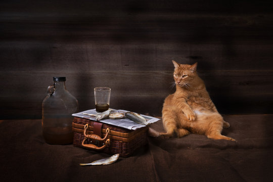 An impressively collapsed red cat next to a still life of booze and dried fish - vobla on a newspaper