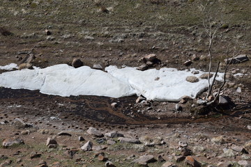 Near the Uybat river.Khakassia.