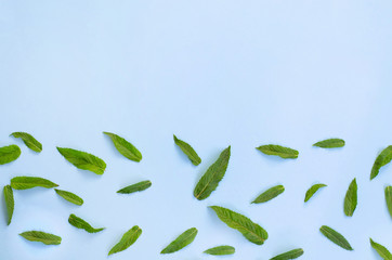 Beautiful bright background with fresh mint leaves.