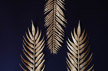Golden branches of tropical plants on a black background.